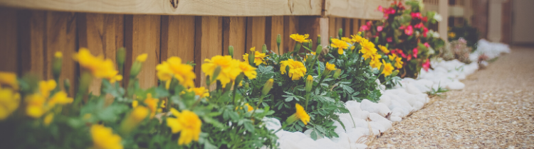5 Ways To Increase Curb Appeal When Selling a House in New Jersey 