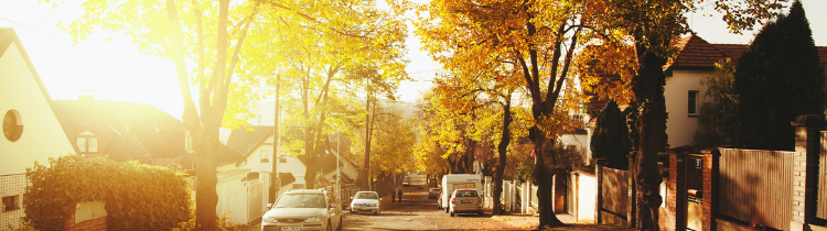 6 Things To Pay Attention To When Making an Offer For a House in Littleton