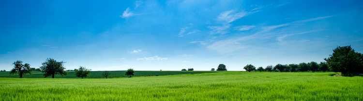 5 Things You Should Know About Buying Homes With Acreage in Downey