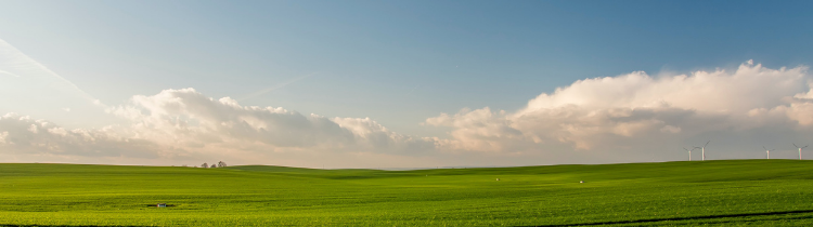 5 Things You Should Know About Buying Land to Build Your Dream Home