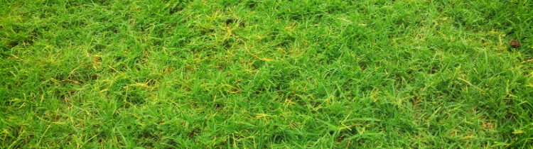 5 Reasons Why You Should Be Investing in Vacant Land in Florida