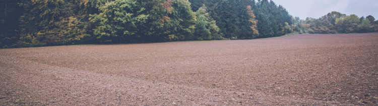 5 Reasons Why You Should Sell Your Vacant Land in New Jersey