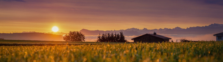 What You Need to Know About Contingencies When Buying or Selling a House in New Jersey