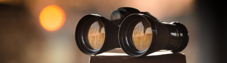 How to Do a Lien Search for Maryland Investment Buyers