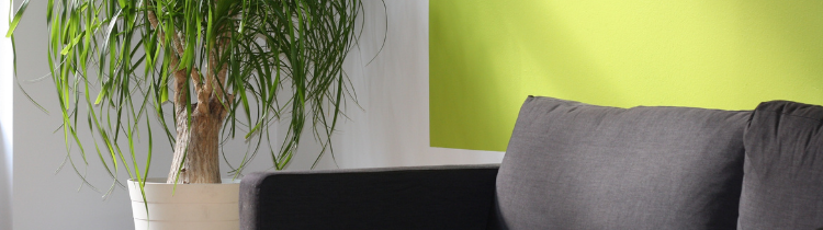 5 Ways to Utilize Color When Selling Your House in Harford County 