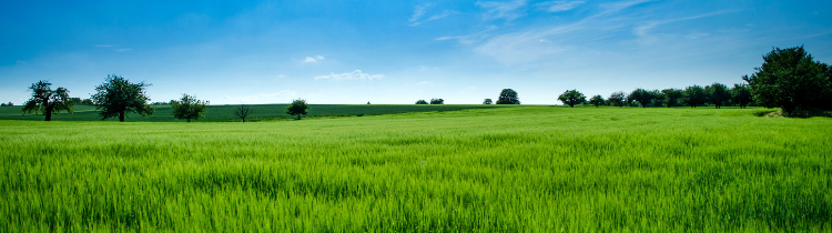 What Investors Should Know About Sub-Dividing Land in Edmonton
