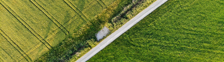 3 Reasons Why Now is the Time to Sell Your Land in Port Tobacco