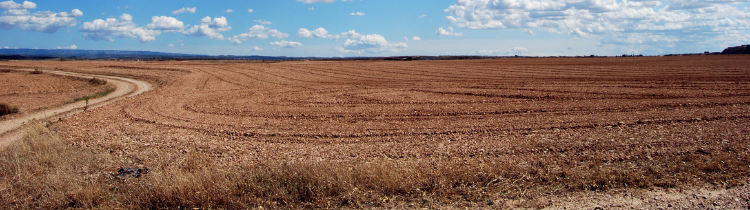 How to Buy Land in Baltimore for Your New Home