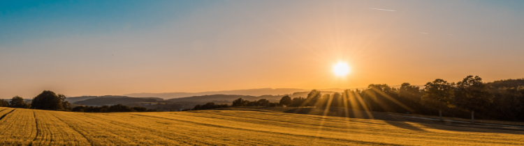 What to do With Inherited Land