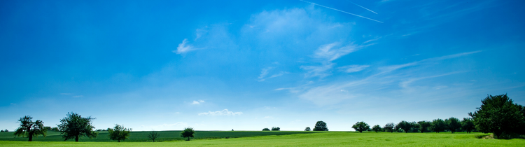 5 Reasons Why You Should Be Adding Land to Your Revere Real Estate Portfolio