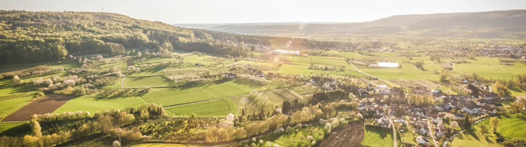 Everything You Need to Know About USDA Loans When Buying a House in Northern Kentucky