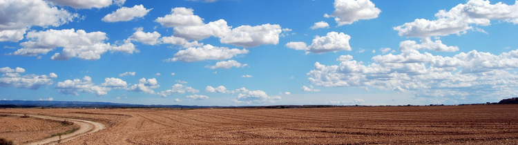 How to Sell Your Remote Land in Randolph