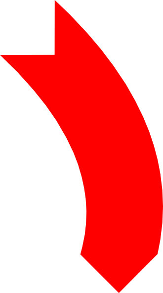 sell your house big red down arrow LR