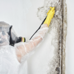 mold in house