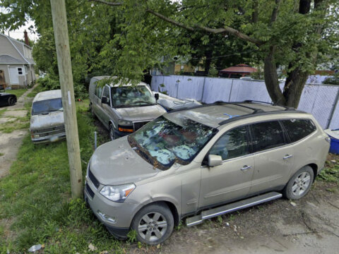 1060 E 17th Ave, Columbus, OH 43211 - Backyard 1