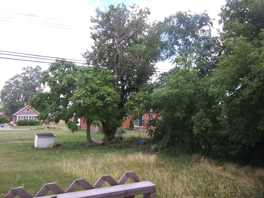 detroit-home-buyer