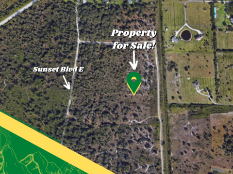 sunse blvd e and property for sale in map