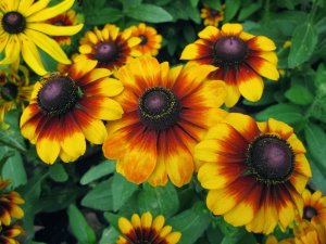 Summer Home Selling Tips - Easy Sale Today