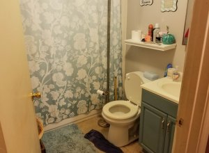 Homes For Sale In TX: La Porte 77571 – Blackwell 3BR