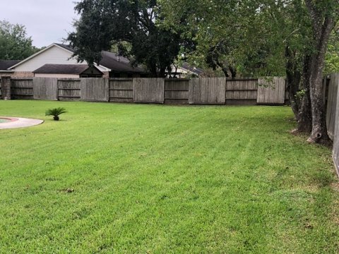 Homes For Sale In TX Friendswood 77546 – Killarney 3BR Backyard