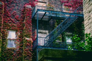 An overgrown wall in New Brunswick, NJ. With Templar Real Estate Enterprises, you can sell your house without having to fix yard problems.