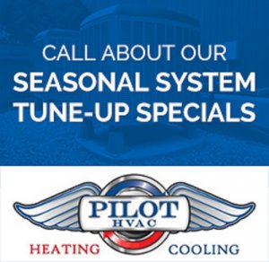 Seasonal Tune Up Special