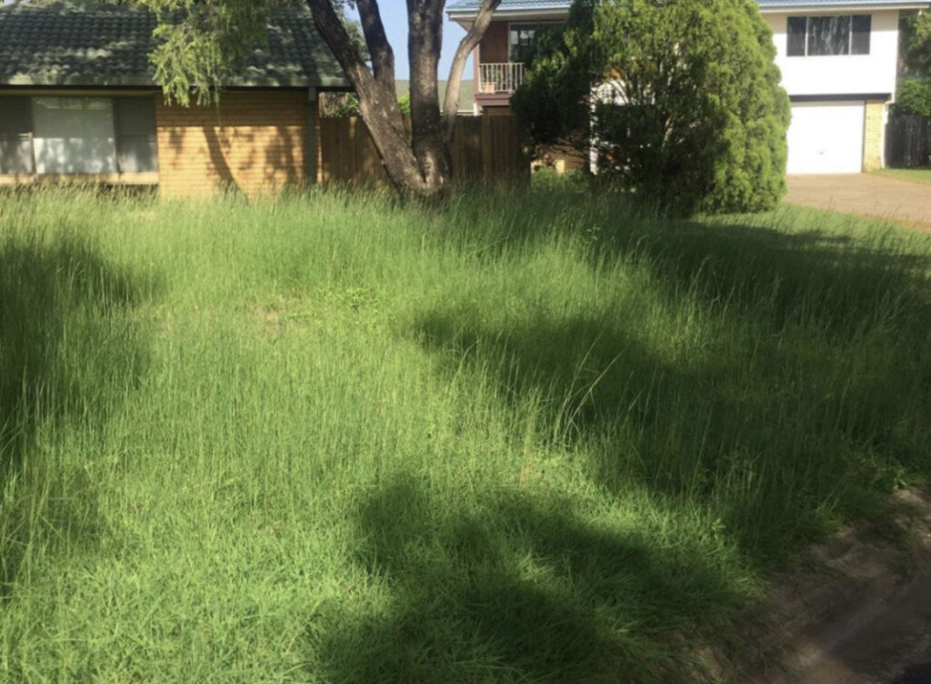 House with an overgrown lawn
