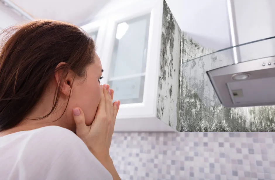 How to Sell a House With Mold or Water Damage Fast