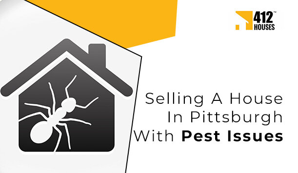 Selling A House In Pittsburgh With Pest Issues