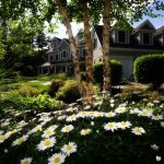 make your yard a selling point in fort thomas ky