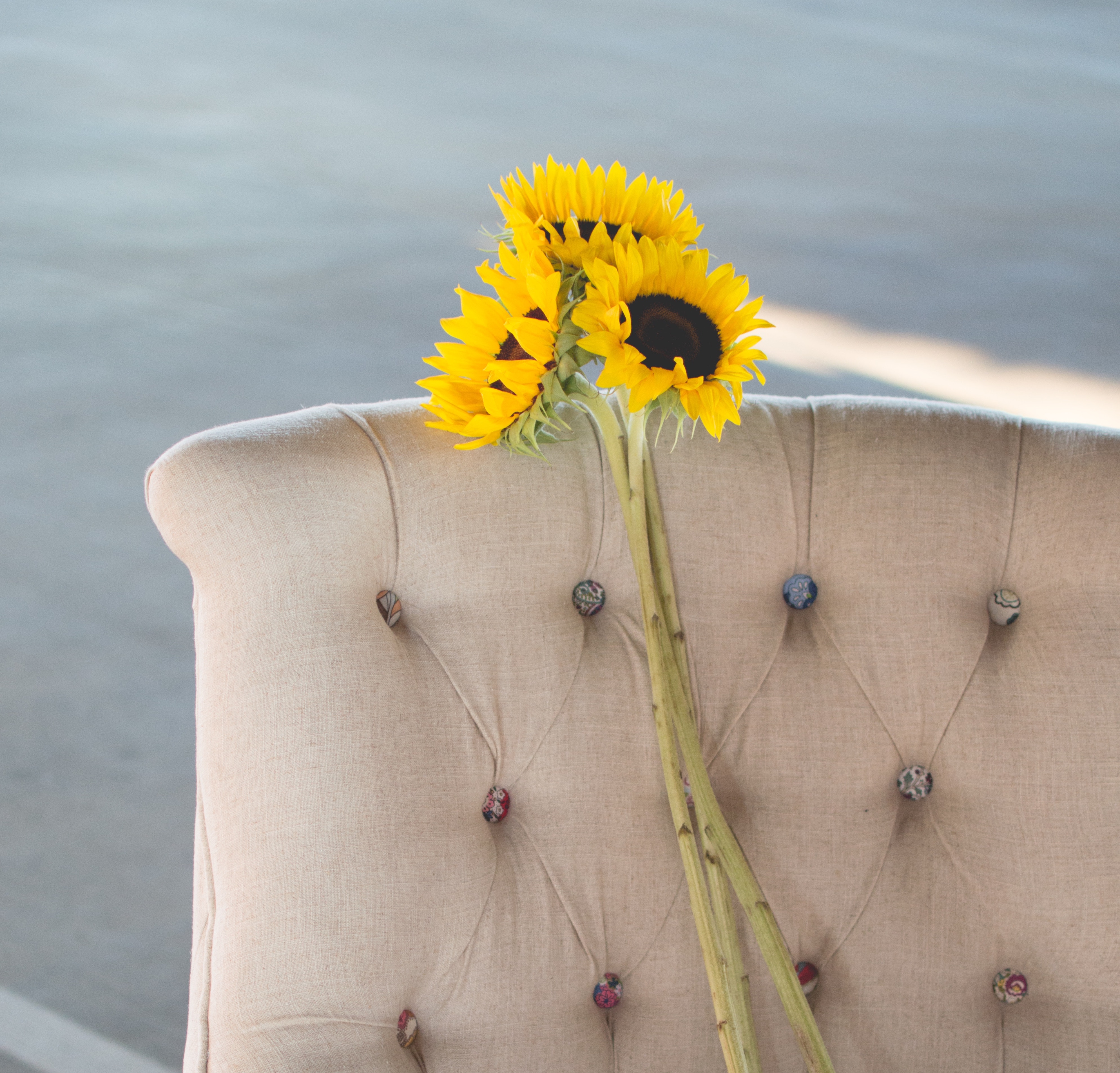 5 Hot Summer Home Selling Tips in Cincinnati