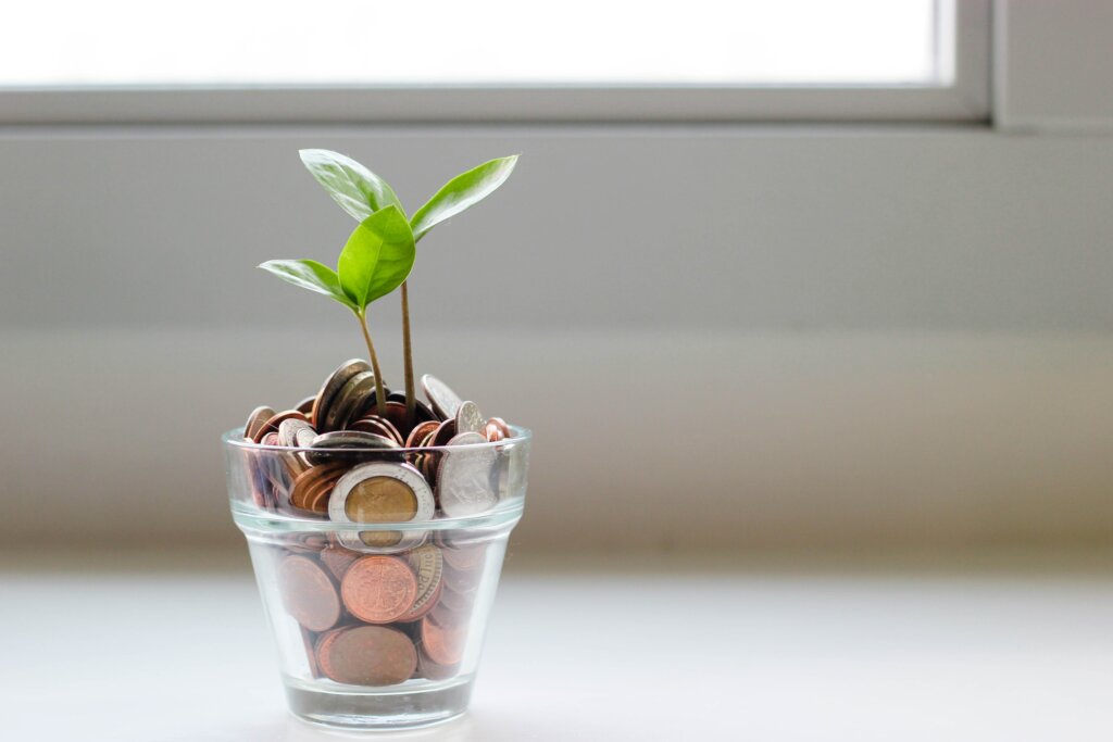 Self Directed 401k Real Estate Investing In the Greater Cincinnati Area or Cincinnati- Frequently Asked Questions - plant growing from money
