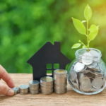 How Much to Spend When Buying Investment Property - Plant