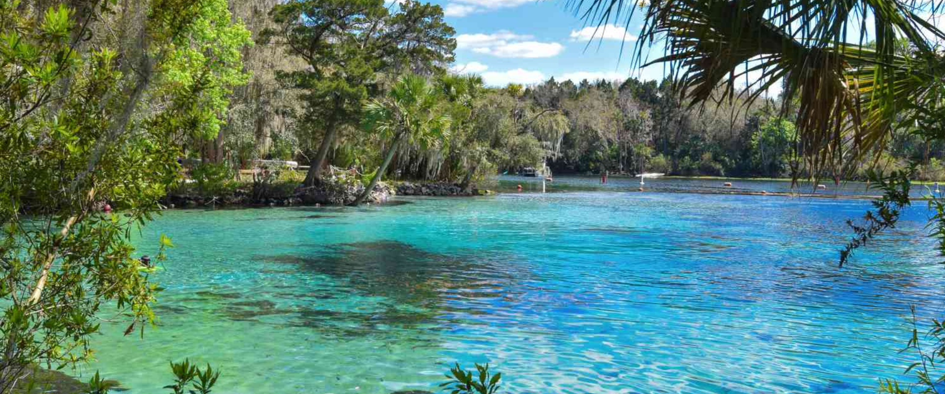 we buy houses in Ocala FL