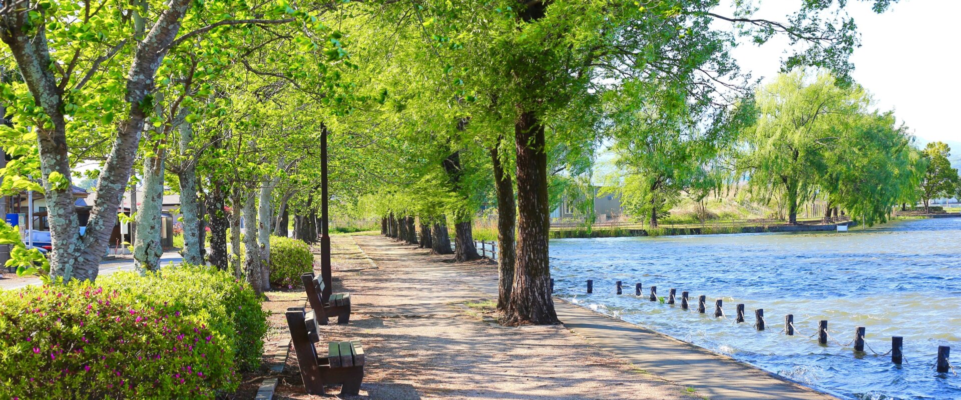 Cash house buyers in Baltimore OH