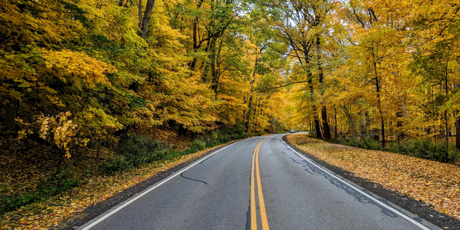 cash house buyers in madison county oh