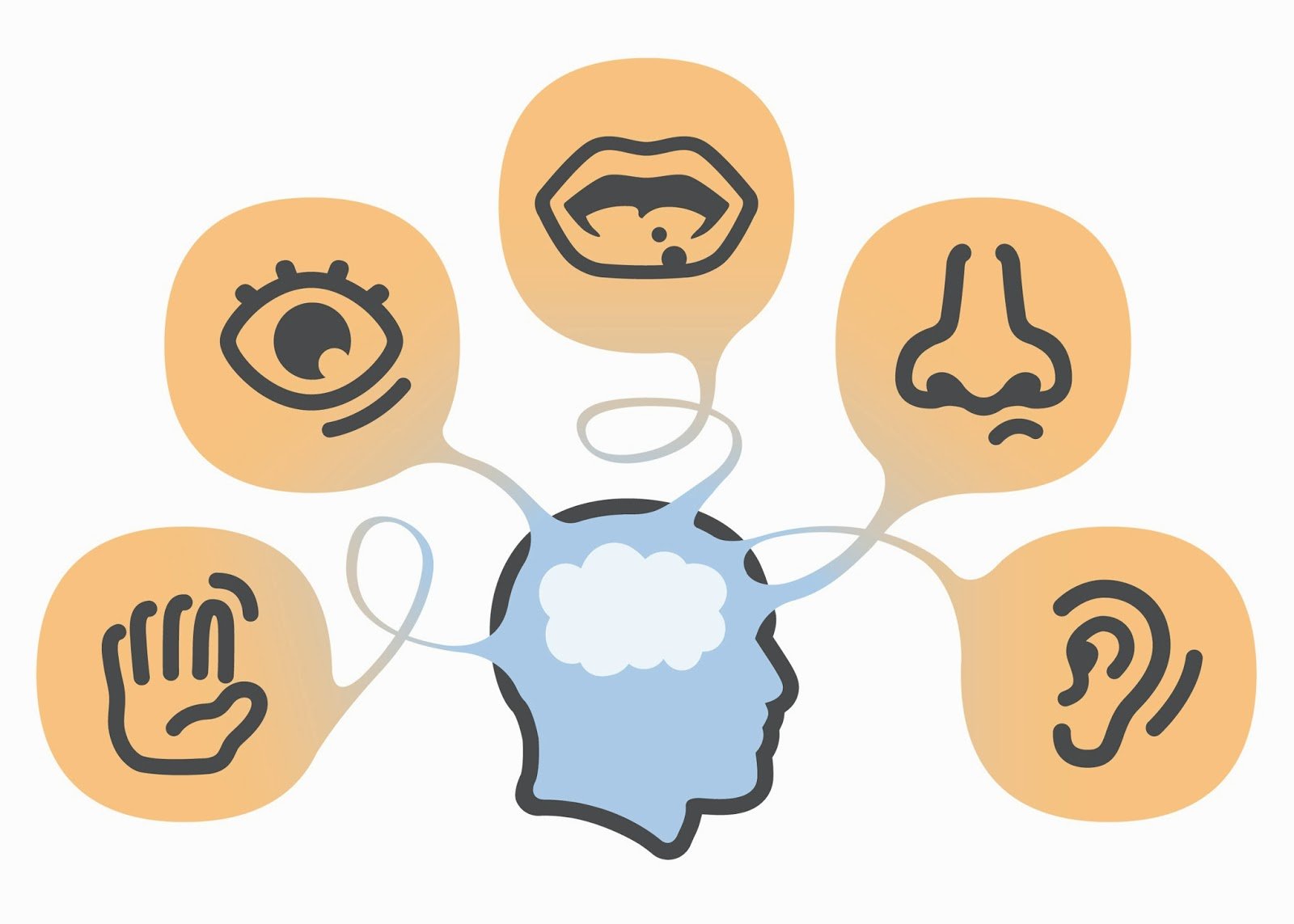 Sell your house fast by appealing to all five senses