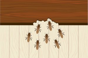 Selling a Home With Termites in Maryland