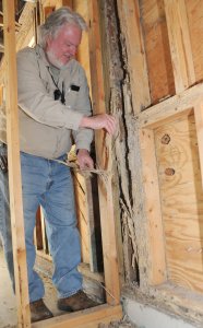 Termite Damage in Maryland