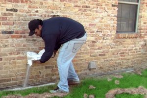 Termite Treatment in Maryland