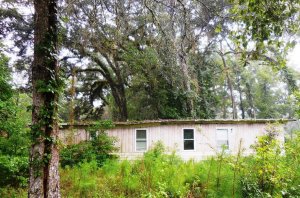 We will buy your Florida Land in Any Condition or Situation! Call (855) 741-4848 Sell Land Fast