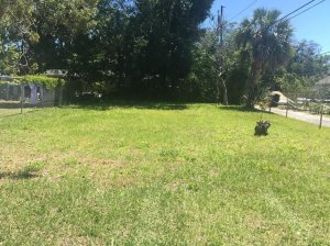 We're the Easiest Option for Liquidating Property Sell Land Fast