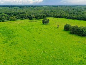 Get Your No-Obligation Offer Within 1 Week! Often the SAME DAY! Call (855) 741-4848 Sell Land Fast