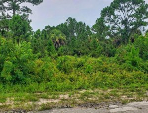 Dependable Homebuyers buys land in as little as 14 days Sell Land Fast