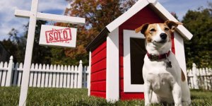 we-buy-houses-jacksonville-fl