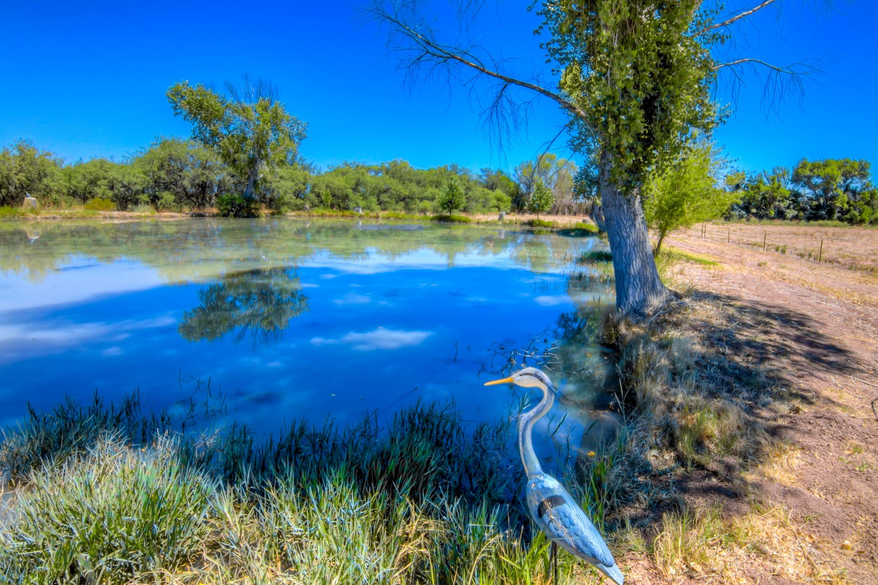 Sell House Fast St David AZ We Buy Houses