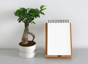 Declutter in Doylestown PA