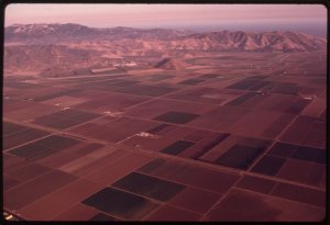 Ventura county real estate consisting of farm land