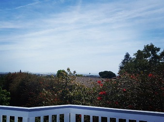 view from the patio of a santa paula house
