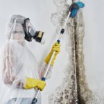 mold-remediation-in-a-house